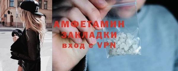 гидра Богородск