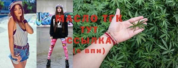 гидра Богородск