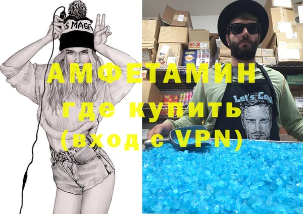 гидра Богородск