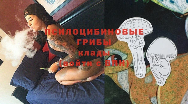 тгк Переславль-Залесский