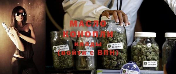 гидра Богородск